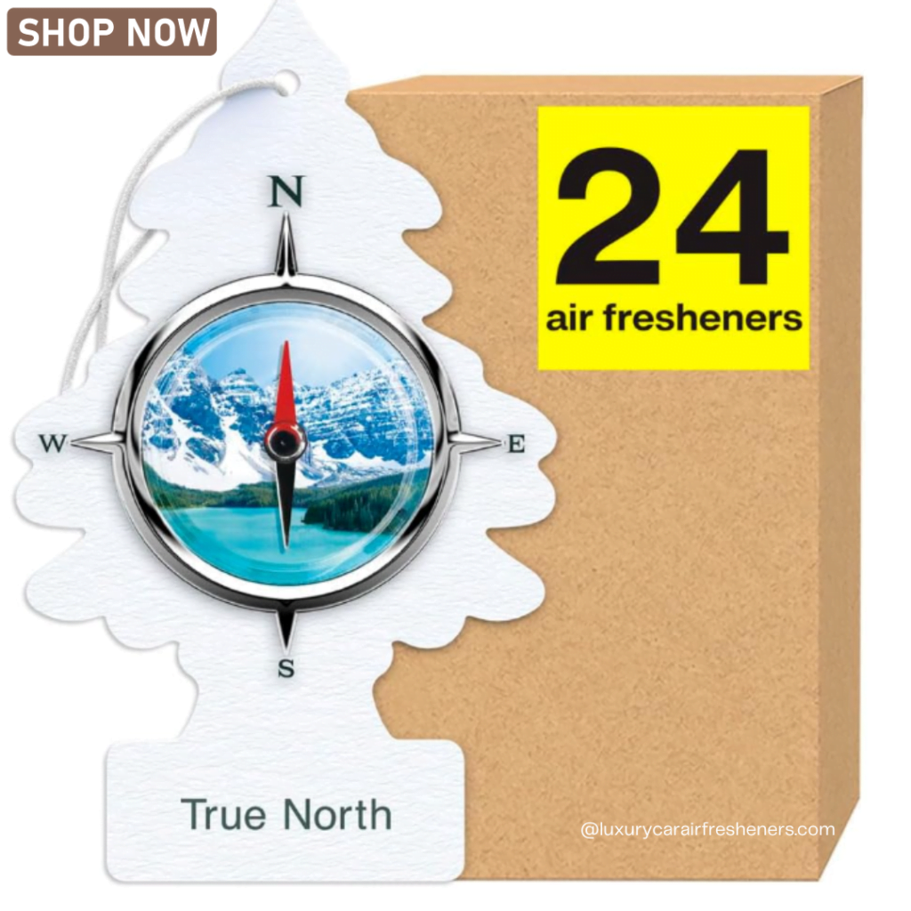 best car air freshener