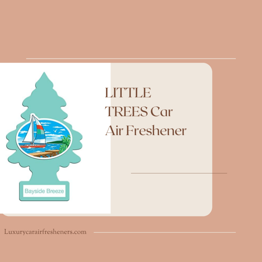Little Trees Hanging Car Air Freshener – Best Budget Option
